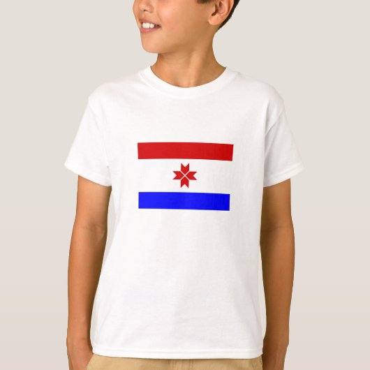 Vlag van Mordovië T-shirt (Voorkant)