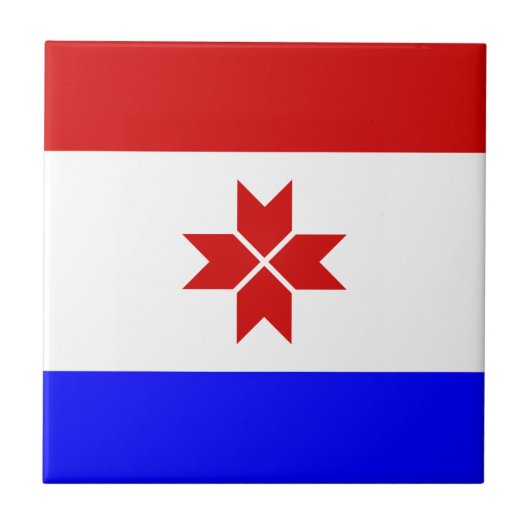 Vlag van Mordovië Tegeltje (Voorkant)