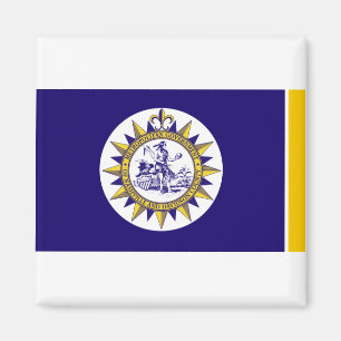 Vlag van Nashville, Tennessee Magnet