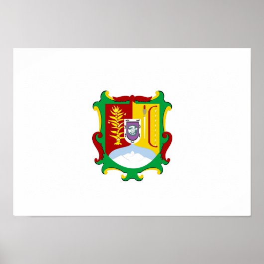 Vlag van Nayarit Poster (Voorkant)