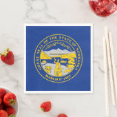 Vlag van Nebraska Servet (Insitu)