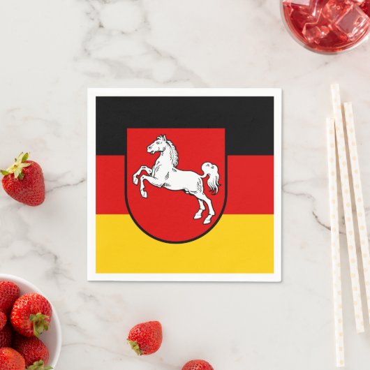 Vlag van Nedersaksische servetten (Insitu)