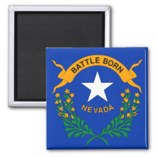Vlag van Nevada (detail) Magneet