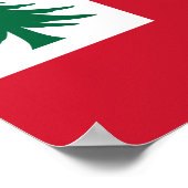 Vlag van New England (alleen pijnhout) - niet-offi Poster (Hoek)