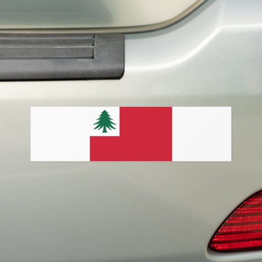 Vlag van New England Bumpersticker (Op auto)