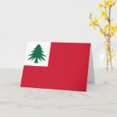 Vlag van New England Kaart (Gele Bloem)