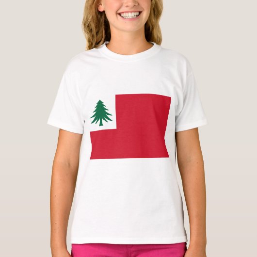 Vlag van New England T-shirt (Voorkant)