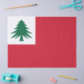 Vlag van New England Tissuepapier (Craft)