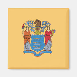 Vlag van New Jersey Magneet