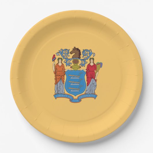 Vlag van New Jersey Papieren Bordje (Voorkant)