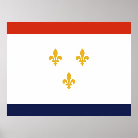 Vlag van New Orleans Poster (Voorkant)