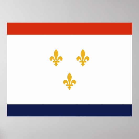 Vlag van New Orleans Poster (Voorkant)
