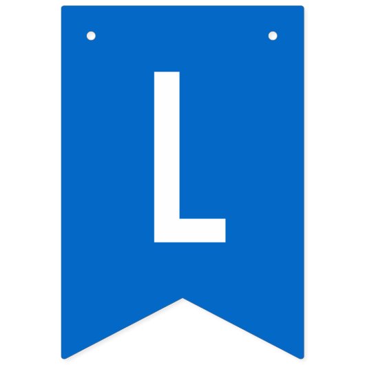 Vlag van Nicaragua Birthday Party Decorations Vlaggetjes (Derde vlag)