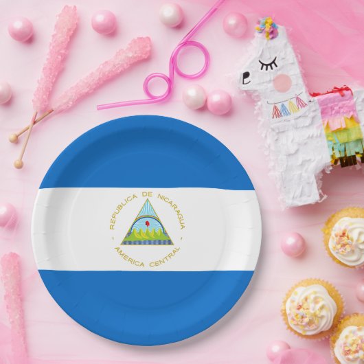 Vlag van Nicaragua Papieren Bordje (Feest)