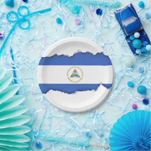 Vlag van Nicaragua Papieren Bordje (Feest)