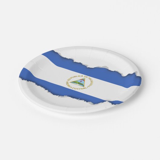 Vlag van Nicaragua Papieren Bordje (Gekanteld)