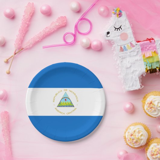 vlag van Nicaragua Papieren Bordje (Feest)