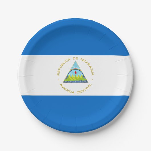 vlag van Nicaragua Papieren Bordje (Voorkant)