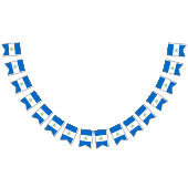 vlag van Nicaragua Vlaggetjes (Alle)