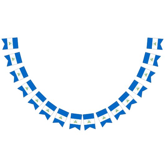 vlag van Nicaragua Vlaggetjes (Alle)