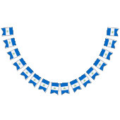 Vlag van Nicaragua Vlaggetjes (Alle)