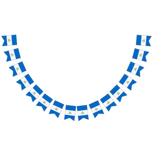 Vlag van Nicaragua Vlaggetjes (Alle)