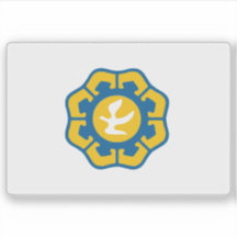 Vlag van Nicosia (Lefkosia) gemeente, Cyprus