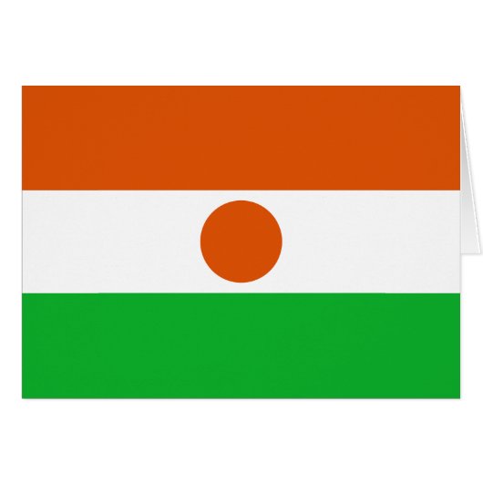 Vlag van Niger (Voorkant Horizontaal)