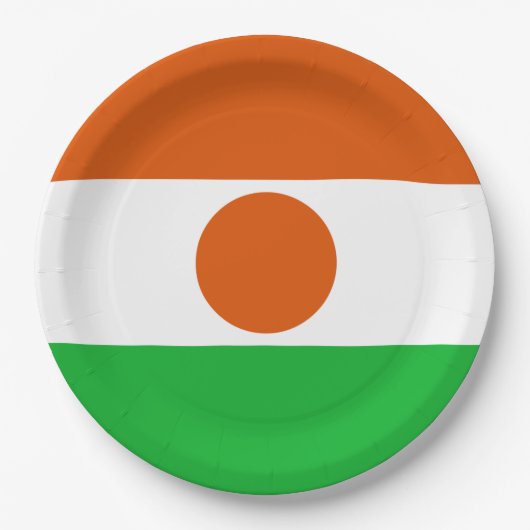 Vlag van Niger Papieren Bordje (Voorkant)