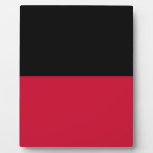 Vlag van Nijmegen Fotoplaat