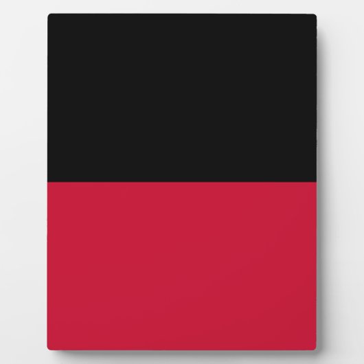 Vlag van Nijmegen Fotoplaat (Voorkant)