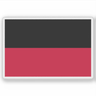 Vlag van Nijmegen, Nederland Sticker