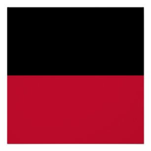 Vlag van Nijmegen Poster