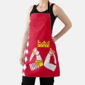 Vlag van Noord-Karelië Schort (Insitu)