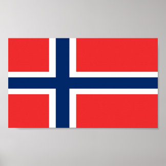 Vlag van Noorwegen Poster
