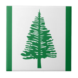 Vlag van Norfolk Island Ceramic Tile Tegeltje