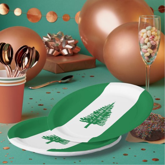 vlag van Norfolk Papieren Bordje (Multi)