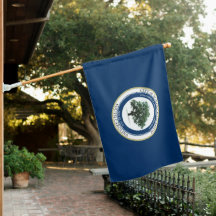 Vlag van North Charleston (South Carolina)