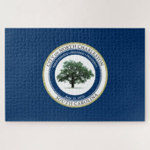 Vlag van North Charleston (South Carolina)