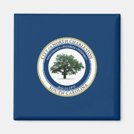 Vlag van North Charleston (South Carolina) Magneet