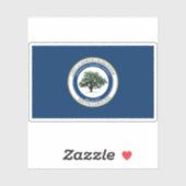 Vlag van North Charleston, South Carolina Sticker (Vel)