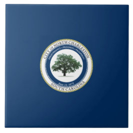 Vlag van North Charleston (South Carolina) Tegeltje