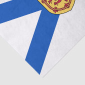 Vlag van Nova Scotia (Canadese provincie) Tissuepapier (Detail)