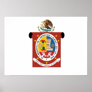 Vlag van Oaxaca Poster