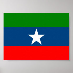 Vlag van Ogaden Poster