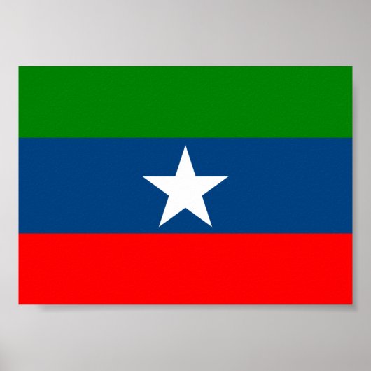 Vlag van Ogaden Poster (Voorkant)