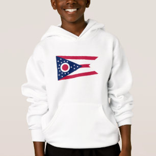 Vlag van Ohio