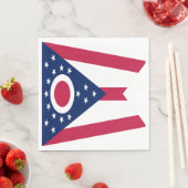 Vlag van Ohio Servet (Insitu)