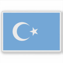 Vlag van Oost-Turkestan (Kök Bayraq)