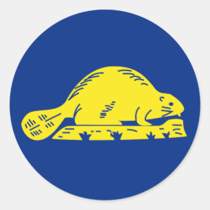 vlag van Oregon Ronde Sticker